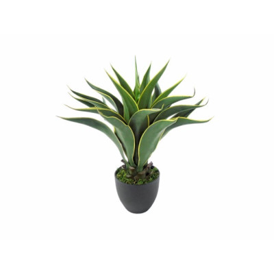 PLANTA ARTIFICIAL AGAVE
