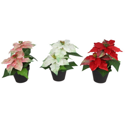 FLOR DO NATAL C/VASO 28CM