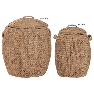 CESTA VERGA C/ ASAS E TAMPA...