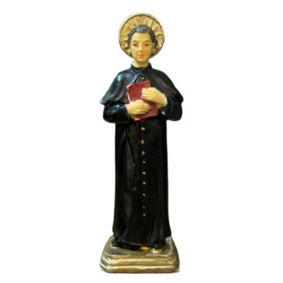 SAO JOAO BOSCO RESINA...