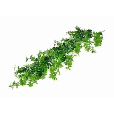 FOLHAGEM AZEVINHO...