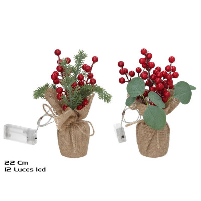 PLANTA DECORATIVA C/12 LESD...