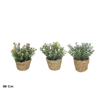 PLANTA C/VASO VERGA 18cm