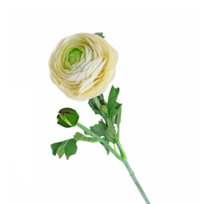 FLOR ART. PE RANUCULO