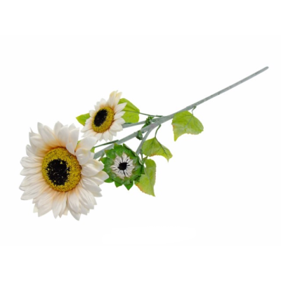 PE C/3  GIRASSOIS...