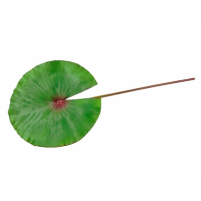 FOLHA LOTUS VERDE 61cm