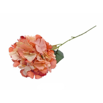 HASTE PROTEA ARTIFICIAL...