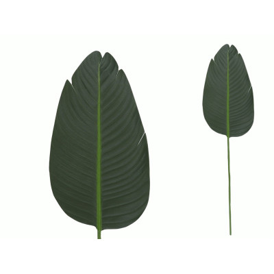 FOLHA AVE PARAISO 98CM