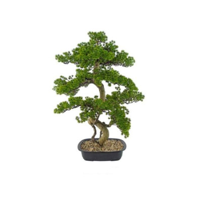 PLANTA ARTIFICIAL - BONSAI...