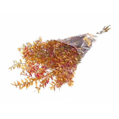 RAMO FLOR SECA ARTIFICIAL...