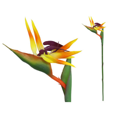 FOLHA AVE PARAISO 81CM