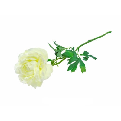 PE FLOR RANUNCULUS BRANCA 75cm
